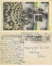 Postcard 13