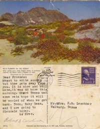 Postcard 18